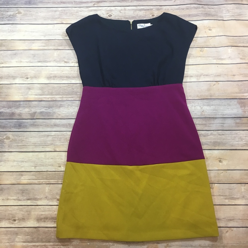 Eliza J Royal Collection Colorblock Dress Sz 10